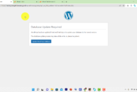 Klik Update WordPress Database